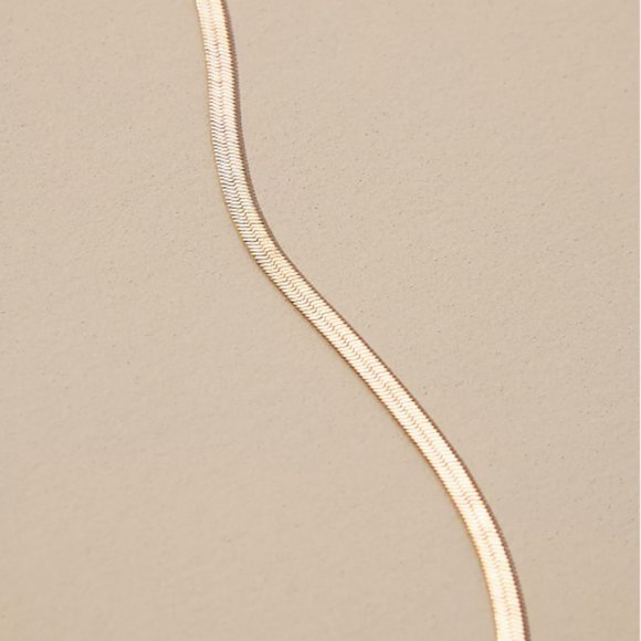 NWT! Anthopologie Flat Gold Herringbone Necklace - Picture 3 of 9